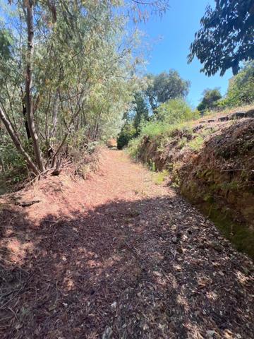 Auribeau-Sur-Siagne : Terrain non constructible Zone N