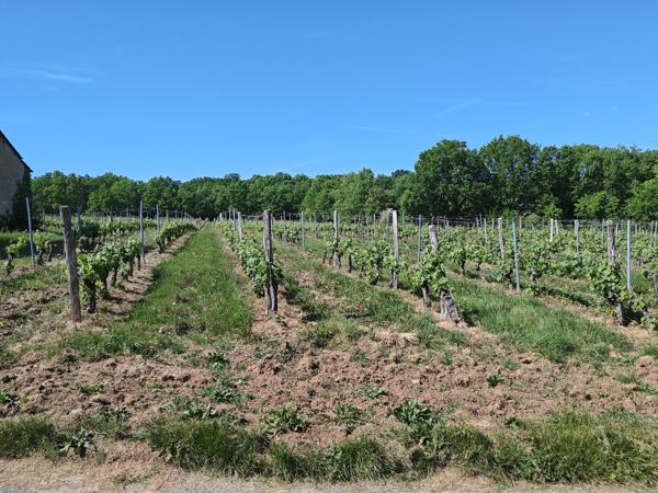 Terrain à LEMBRAS, 24100 - 26143m²