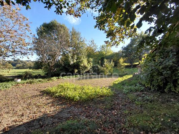 Maison de Maître du XVIIIe siècle avec dépendances et terrain de plus de 3 hectares – Puycapel (15)