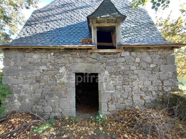Maison de Maître du XVIIIe siècle avec dépendances et terrain de plus de 3 hectares – Puycapel (15)