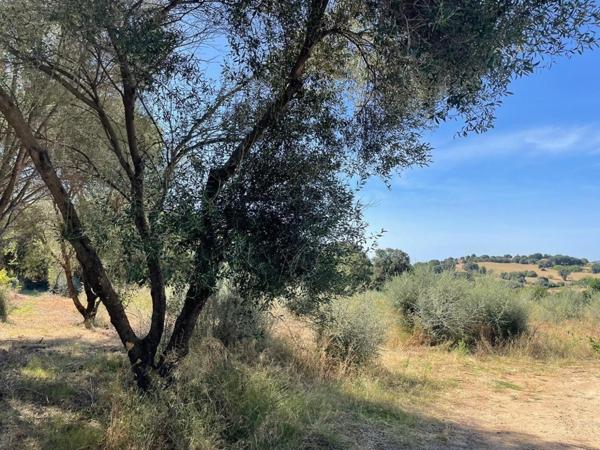 TERRAIN PLAT 1500 m2