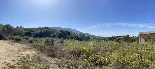 TERRAIN PLAT 1500 m2