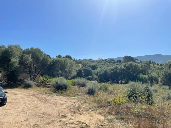 TERRAIN PLAT 1500 m2