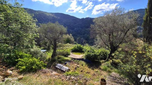 Au calme, une villa mitoyenne à rénover sur un terrain de 3100 m².