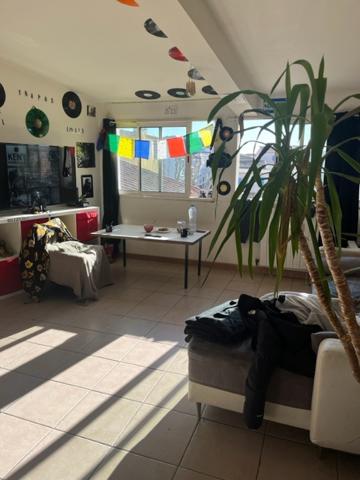 L'Isle-sur-la-Sorgue (84800) Appartement de 38m2