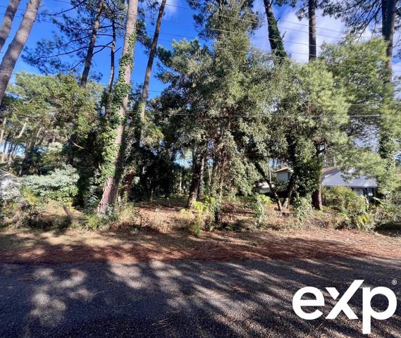 Hossegor Terrain de  1434 m2