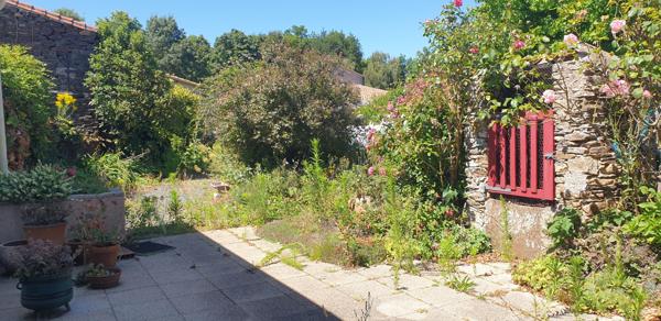 TRES BEAU POTENTIEL!