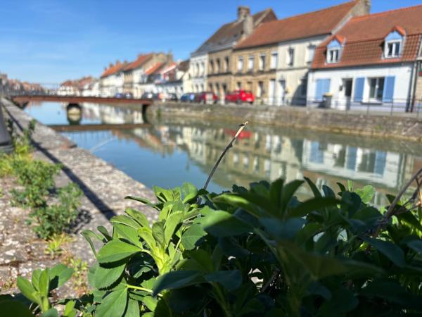 Faubourg du Haut Pont - atypique - maison mitoyenne