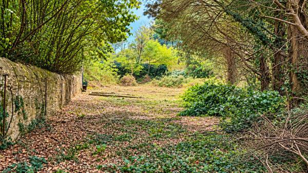 Terrain
        
        - 1018 m² 53 000 € *
