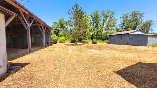 Ancienne ferme : terrain et dépendances