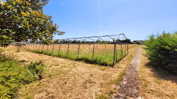 Ancienne ferme : terrain et dépendances