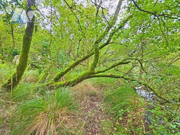 Construite sur un terrain d'environ 7 000 m² au bord de la rivière, cette longère offre de beau...