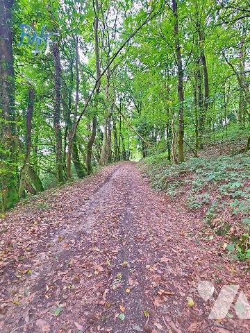 Construite sur un terrain d'environ 7 000 m² au bord de la rivière, cette longère offre de beau...
