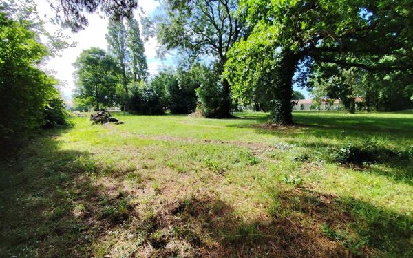 Terrain à vendre