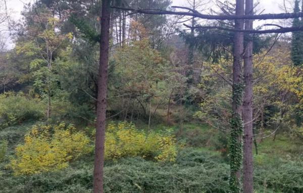 Terrain à Batir de 1 873 m²