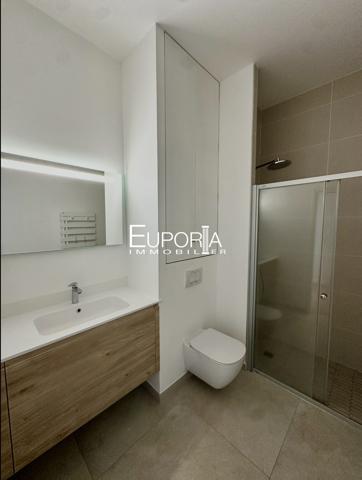 Appartement T5 Attique d'exception - centre tassin-la-Demi-Lune
