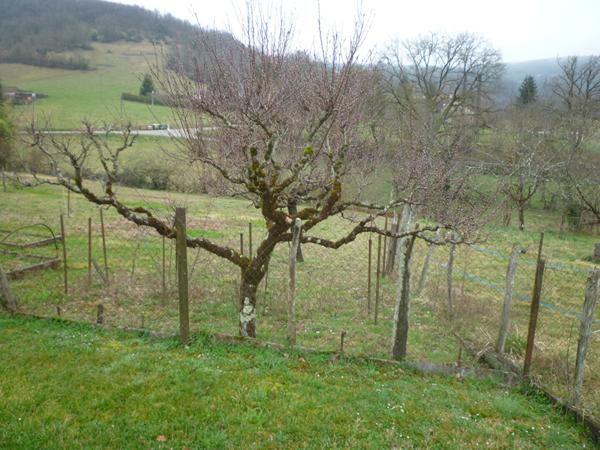 Terrain constructible de 2.800m2 à Capdenac Gare