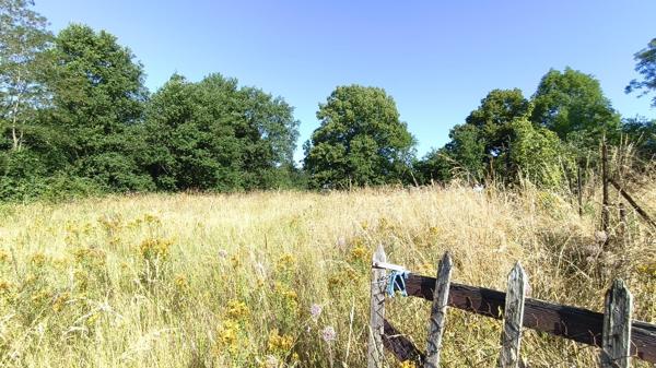Terrain constructible de 2.800m2 à Capdenac Gare