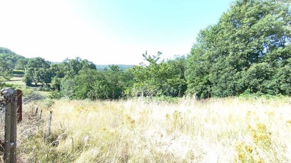 Terrain constructible de 2.800m2 à Capdenac Gare