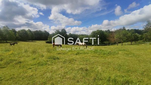 Magnifique longère en pierre