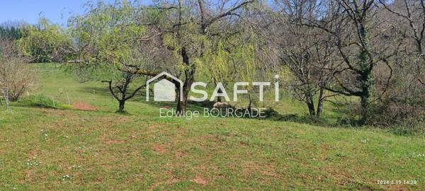 Magnifique longère en pierre