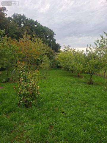 Terrain à Batir à vendre à Fussy dans le Cher (18110), ref : 18016/2002