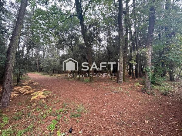 Opportunité rare sur le secteur