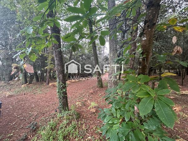 Opportunité rare sur le secteur