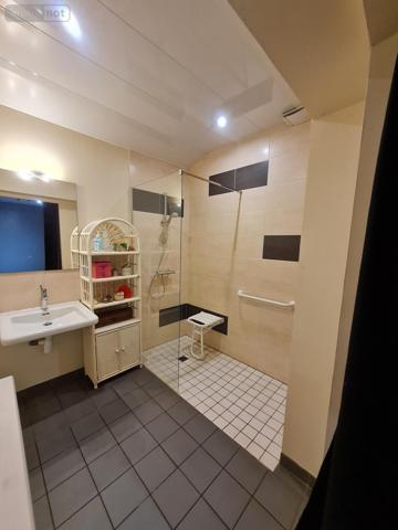 Maison à vendre à Réguiny dans le Morbihan (56500), ref : 56053-2520