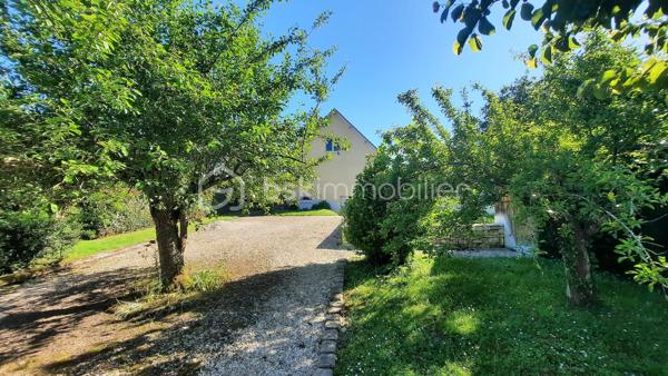 A Seignelay, pavillon traditionnel de 94 m² habitables, sur sous sol total avec combles entièrement aménageables comprenant : entrée, cuisine, séjour avec accès terrasse, 3 chambres, WC, salle d'eau (refaite à neuf). 
Beau jardin de 1840 m² avec dépendances.