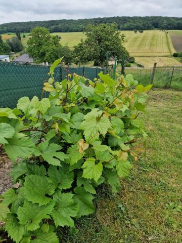 Dpt (88), Secteur VITTEL / CONTREXEVILLE , à vendre MAISON T5 avec GARAGE et TERRAIN de 671 m2