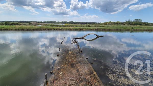 Terrain à vendre  12025 m2 L ILE D OLONNE - 85