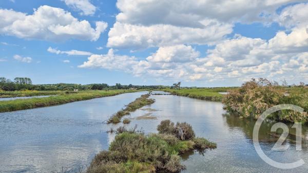 Terrain à vendre  12025 m2 L ILE D OLONNE - 85