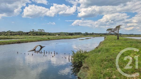 Terrain à vendre  12025 m2 L ILE D OLONNE - 85