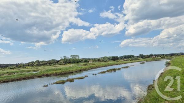 Terrain à vendre  12025 m2 L ILE D OLONNE - 85