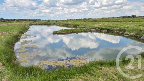 Terrain à vendre  12025 m2 L ILE D OLONNE - 85