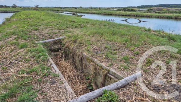 Terrain à vendre  12025 m2 L ILE D OLONNE - 85