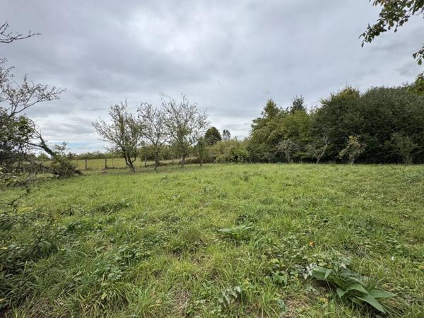 Vente Terrain 2862 m2 à Villers-Cotterêts