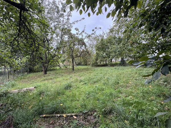 Vente Terrain 2862 m2 à Villers-Cotterêts