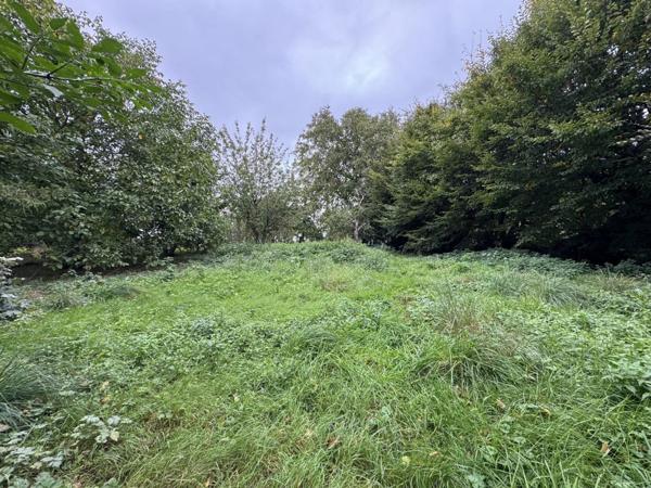 Vente Terrain 2862 m2 à Villers-Cotterêts