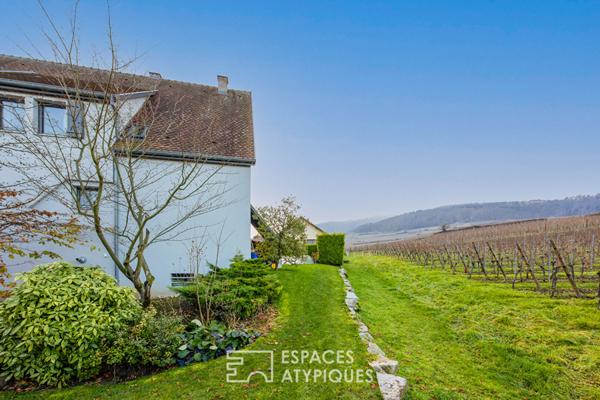 Maison d’architecte avec piscine au pied des Grands Crus