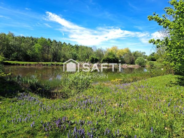 un petit paradis