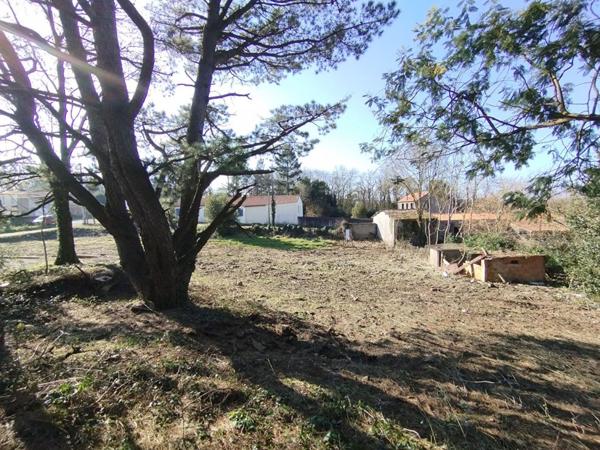 Terrain à bâtir, 1 200m², Champtoceaux, Orée d'Anjou (49270)