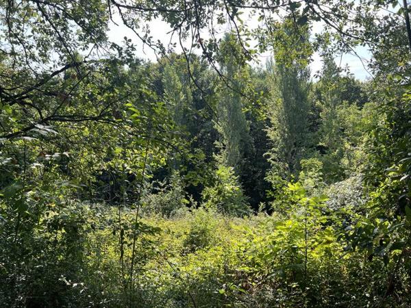 Maison 50 000 € Termes-d'Armagnac 2 p 70 m² DPE