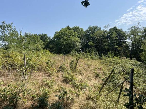 Maison 50 000 € Termes-d'Armagnac 2 p 70 m² DPE