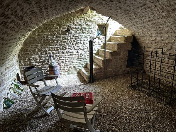 Charmante maison de caractère avec cave voûtée et jardins Fontaine chalendray