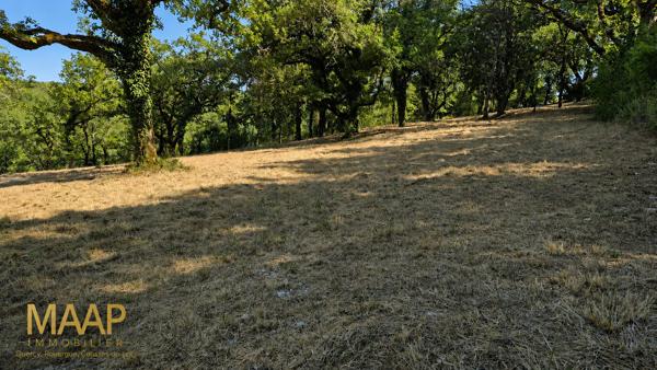 Terrain constructible 10 069 m² avec vue exceptionnelle - Esclauzels - 45 000 €