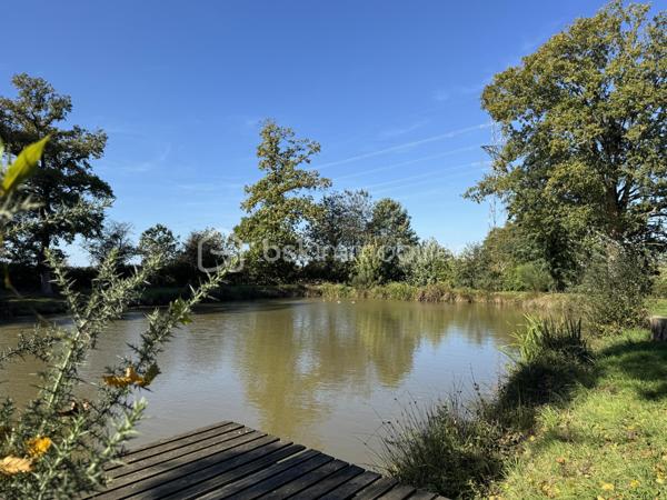 Terrain de 7 023 m²