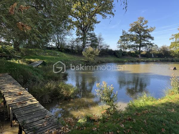 Terrain de 7 023 m²