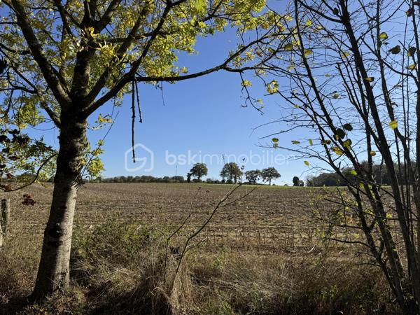 Terrain de 7 023 m²